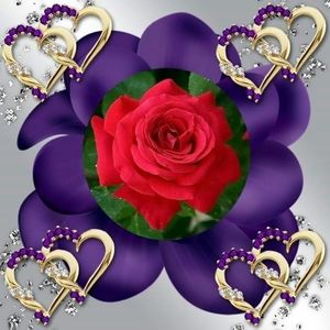 Meet your Posher, Yolanda